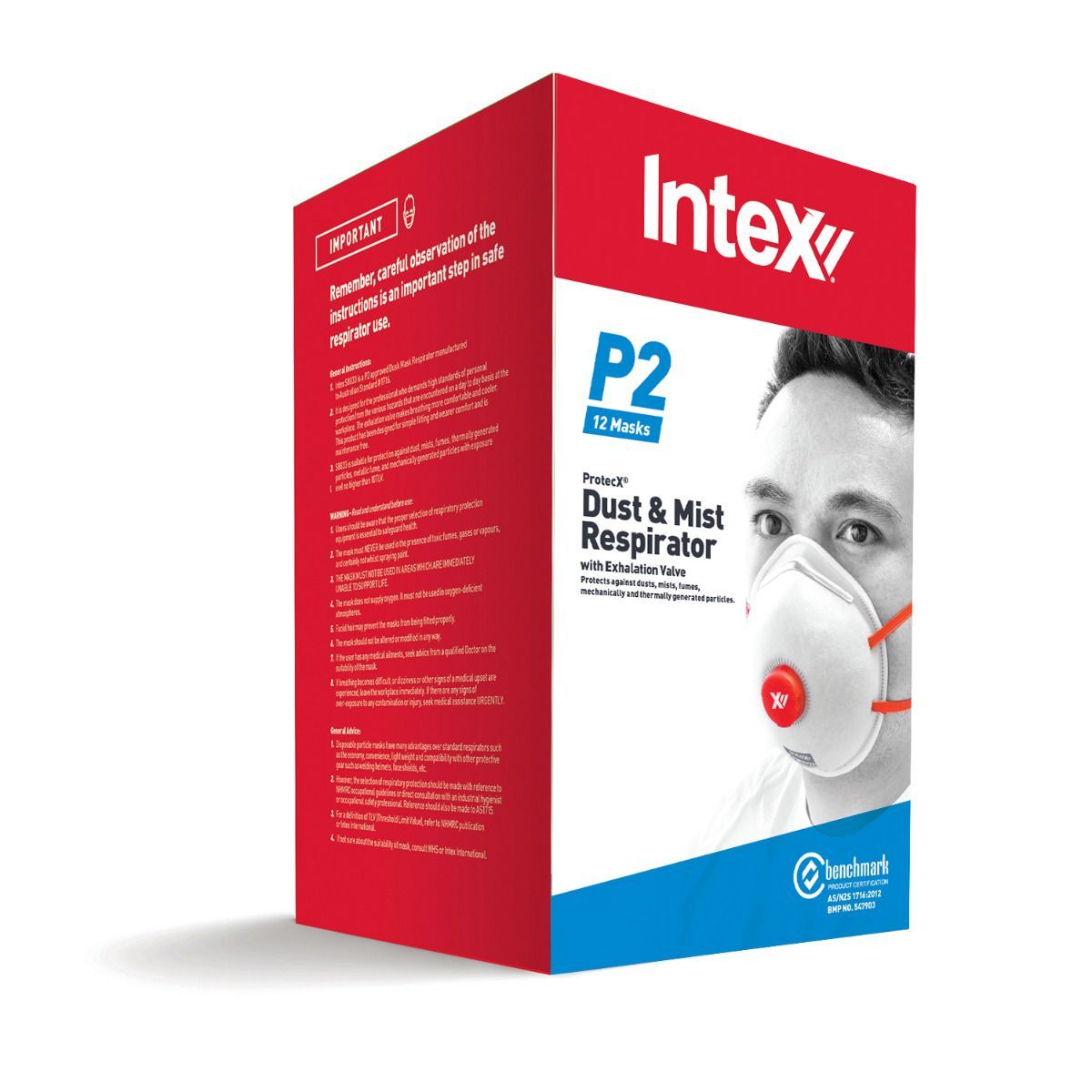 Intex ProtecX P2 Dust & Mist Masks